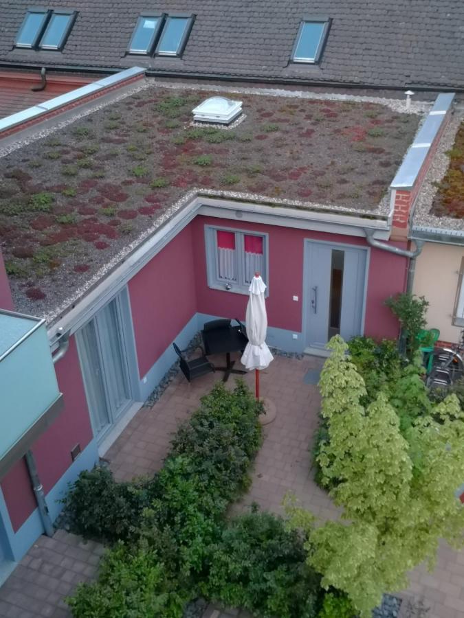 Kleines Feines Ferienhaus Im Herzen Von Dresden公寓 外观 照片
