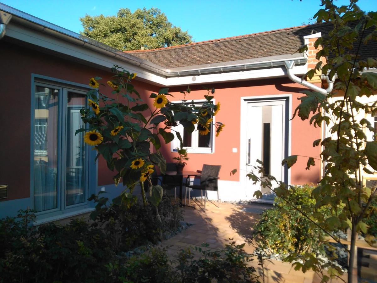 Kleines Feines Ferienhaus Im Herzen Von Dresden公寓 外观 照片